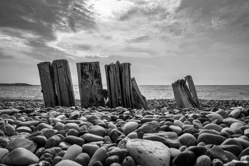 A grayscale shot of wooden logs breakwater on a pebble beach at dawn