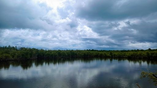 A beautiful view of a lake surrounded by greens gleaming under the cloudy sky