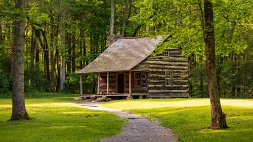 A rustic log cabin in a lush green forest setting with a winding path leading to the entrance.