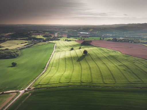 An aerial shot of a beautiful green field with trees under a gray sky