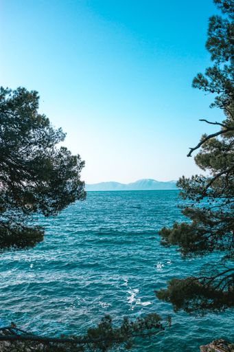 A vertical shot of a sea with tree branches on the foreground under a blue clear sky