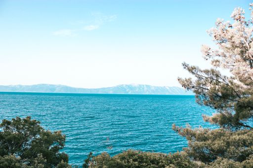 A beautiful view of a blue sea with coastline trees on the background of mountains under a clear sky