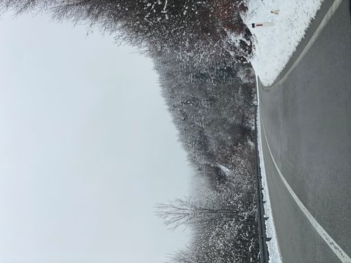 A vertical shot of a road on the mountains surrounded by trees covered with snow.