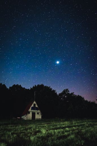 A vertical shot of an old building surrounded by trees under a starry night sky