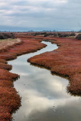 A vertical shot of a narrow river through grassy land under a cloudy sky