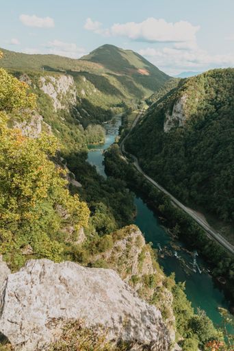 An vertical shot of a flowing river surrounded by greenery