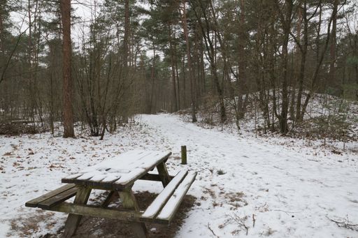 A snow-covered wooden table and bench in the forest
