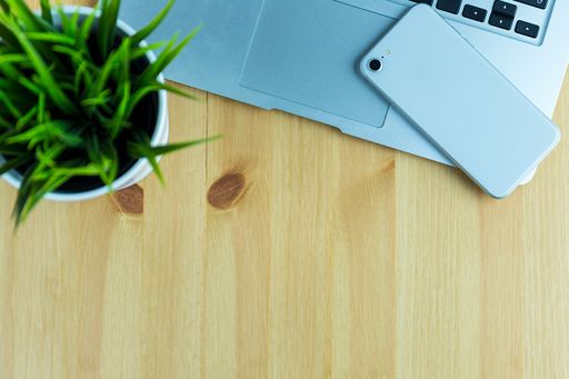 A top view of a houseplant, a laptop and a phone on a wooden surface with copy space