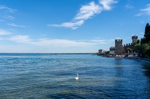 Scenic view of Sirmione Castle by Lake Garda with a swan in the foreground under a clear blue sky.
