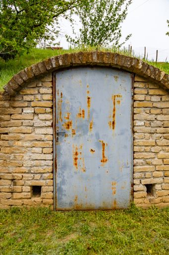 A vertical shot of a brick wall and iron door