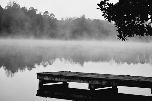 A grayscale of a wooden pier on a lake on a foggy morning