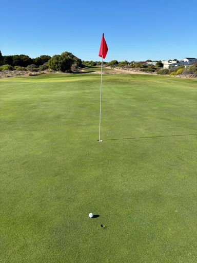 A sunny day on the golf course captures the moment just before triumph, a well-aimed shot rests tantalizingly close to the hole on a manicured green.