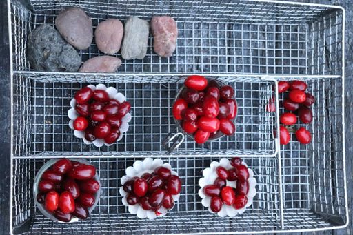 A flipped vertical shot of cranberries in bowls and stones on a metal wire basket