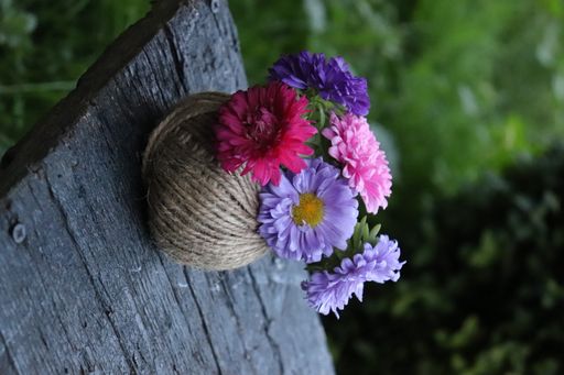 A selective focus shot of colorful asters in yarn on a wooden table