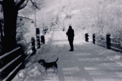 A grayscale shot of a male with his dog standing on the paved road in the park in winter