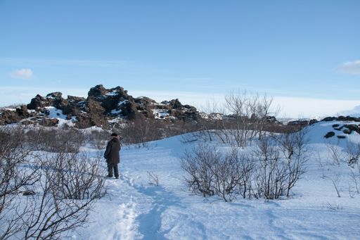 A behind shot of a person in a black coat in the field covered with snow in Iceland