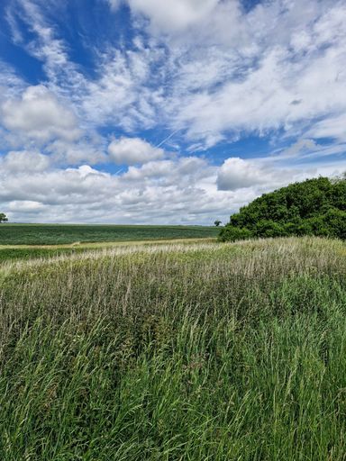 A serene landscape with lush green fields under a partly cloudy sky, showcasing nature's beauty.