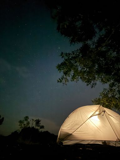 A glowing tent under a starry night sky with silhouetted trees, capturing the essence of outdoor camping.