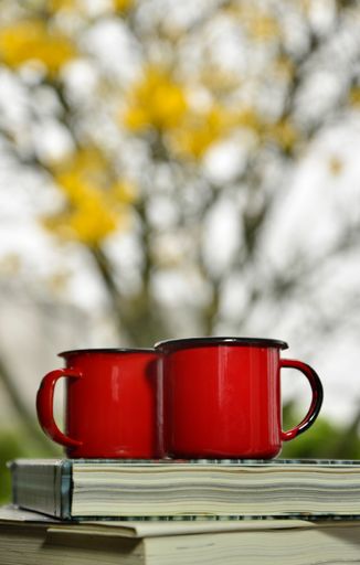 The red coffee cups on top of a book in a yard