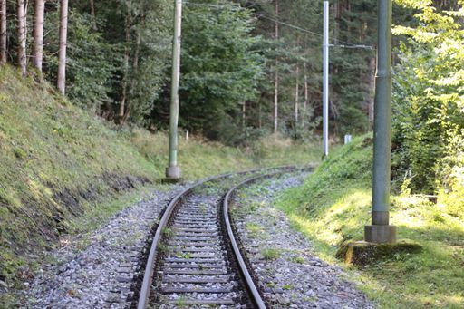 A shot of a railway passing through beautiful nature.