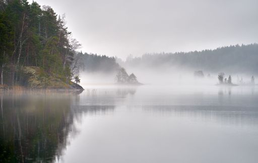 A serene misty lake landscape with pine trees and a tranquil reflection, creating a peaceful and ethereal atmosphere.