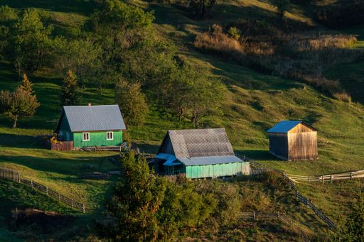Charming rural scene with green wooden houses and a barn on a hillside, surrounded by lush trees and grass, under warm sunlight.
