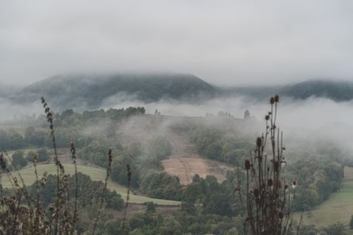 A stunning view of forest mountains lost in the fog on a gloomy day, horizontal wallpaper
