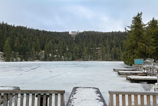 A serene winter landscape featuring a frozen lake surrounded by dense pine forest under a cloudy sky.