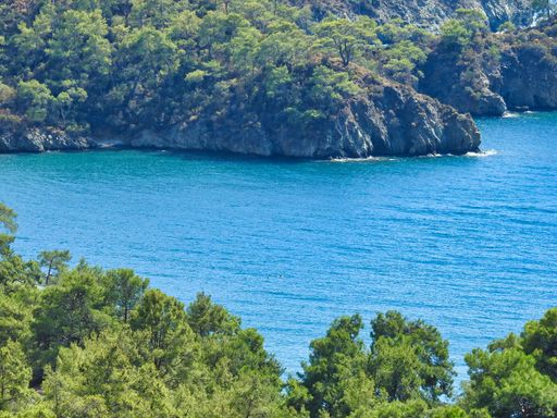 A landscape view of a rocky cliff with trees in a beautiful clear sea on a sunny day