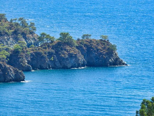 A landscape view of a rocky cliff with trees in a beautiful clear sea on a sunny day
