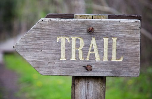 A closeup of a wooden sign with the [TRAIL] word written on it against a blurry background