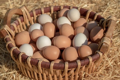 A close-up shot of fresh raw white and brown eggs in a basket on hay at a farm on a sunny day