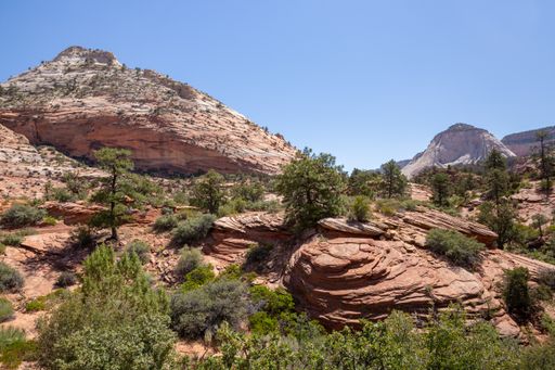 The scenic Zion National Park in Utah, the USA
