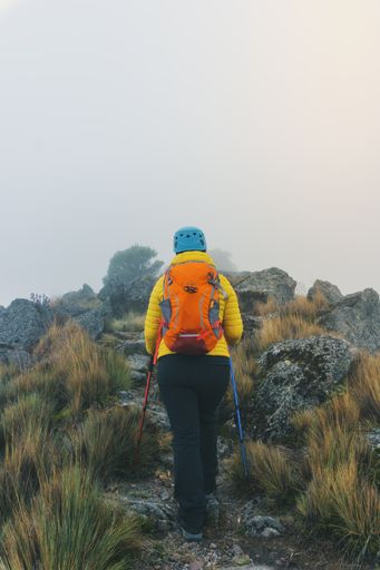 A vertical shot of a hiker climbing on the mountains