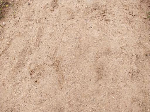 A top view of a smooth sandy texture