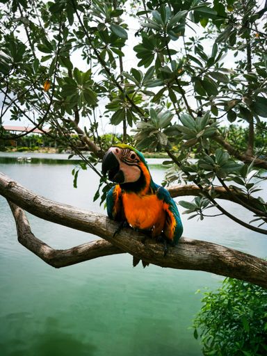 A vertical shot of a macaw parrot perched outdoors in a park during daylight