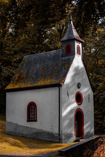 A vertical shot of an old, vintage, white building near trees