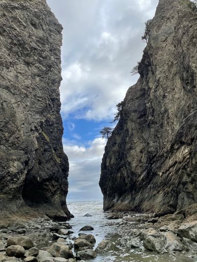 the Olympic National Park, Washington state