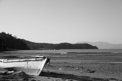 A grayscale shot of an old boat on a beach surrounded by trees and hills in the daylight