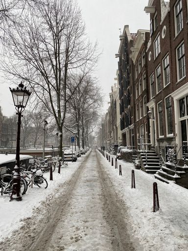 Snow-covered street in Amsterdam with historic buildings, bare trees, and bicycles lining the path.
