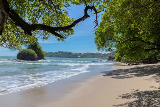 A tranquil tropical beach scene with lush greenery and clear blue skies in Manuel Antonio, Costa Rica.