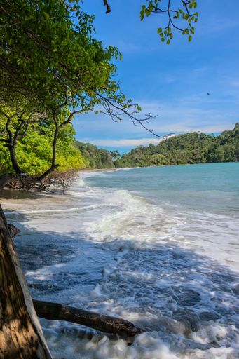 A scenic view of a tropical beach with lush greenery and gentle waves under a bright blue sky.