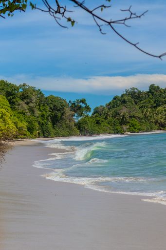 A serene tropical beach with gentle waves and lush greenery under a bright blue sky.