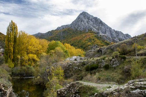 A small pond surrounded by rocks covered in trees with colorful leaves under a cloudy sky at daytime