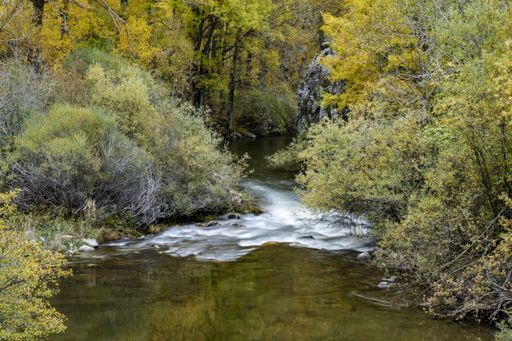 A high angle shot of a beautiful river surrounded by green and yellow trees