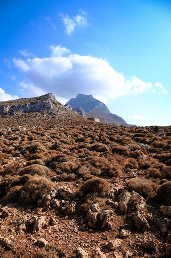 Vast shrubland and mountains during the daytime