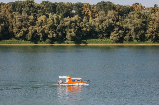 An orange boat floating in a lake on the background of a small forest in daylight