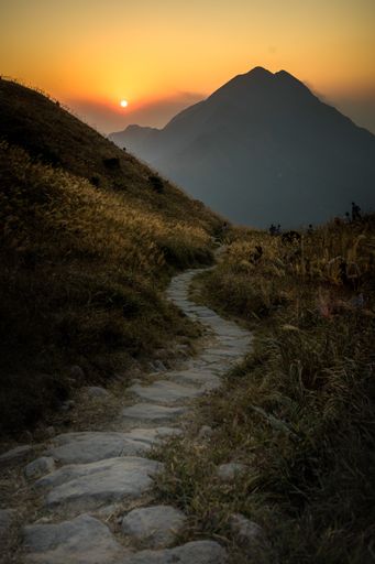 A vertical shot of a narrow path surrounded by greenery in the hills at sunset