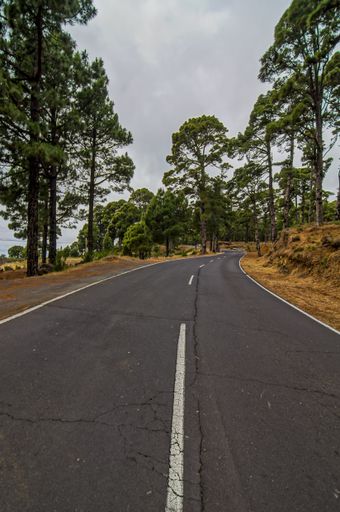 A vertical shot of a road surrounded by a forest under the cloudy skies