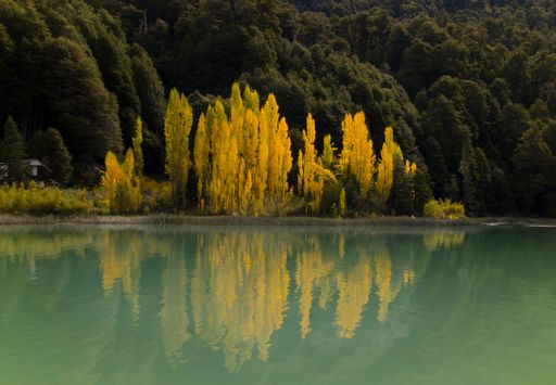 A beautiful scene of yellow-toned forest reflecting in a lake on a cloudy day